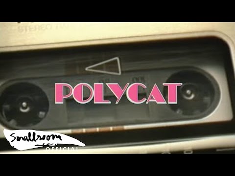 เนื้อเพลง พบกันใหม่ - Polycat