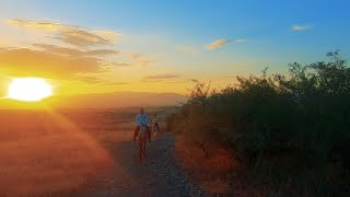 Ինդեքս 15.02.2022