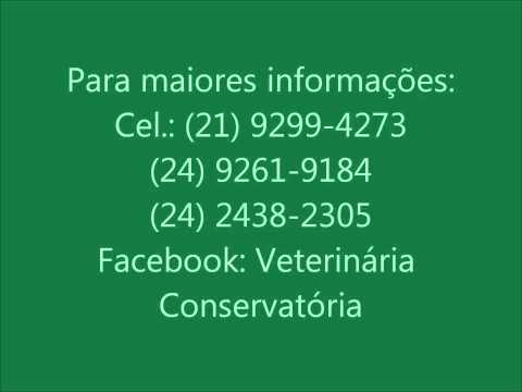 Bloco Da Bicharada video