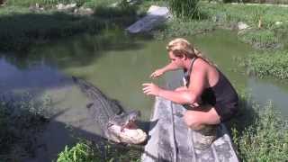 preview picture of video 'Louisiana Swamp GatorMan -difference between Alligators and Crocodiles'