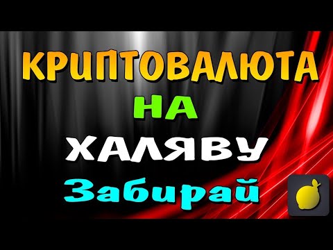 Раздача 19 долларов от биржы Bittrex