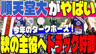 【順天堂大】不気味なほどの好調ぶり！今年のダークホース・順天堂大の最新戦力を徹底解剖！皆さんは秋の順大、どこまで来ると思いますか？【大学駅伝】