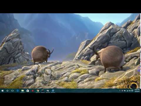 Rollin' France what if animals ere round hd