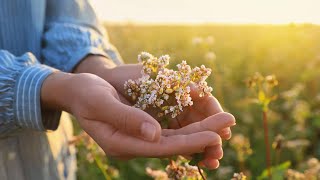 Ancient Herb 'Nature's Valium' Shows Promise for Better Sleep and Reducing Anxiety