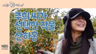 [나는농부다 234회] 주희 씨가 선택한 작물, 산하홍