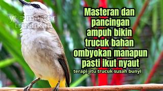 Download lagu Trucukan GACOR ngalas ROPEL PANJANG suara alam AMPUH buat pancingan jadikan trucuk Gacor GARUDA mp3
