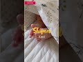 Arabic Boys Name Starting With S Modern Islamic Boys Name Latest Boys Name Short Islamic Trending