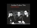 Avishai Cohen - The Ever Evolving Etude