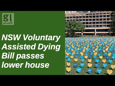 NSW Voluntary Assisted Dying Bill passes lower house
