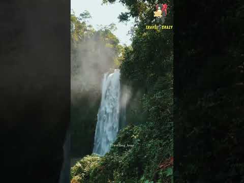 travel nature - #solo #travel #nature  #pitbull #shorts #youtubeshorts #bgmihighlights #max