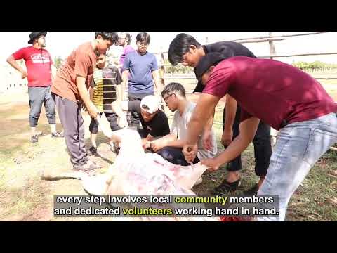 Qurban Project — Fundraising Campaign