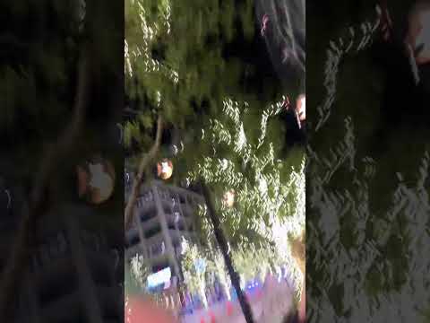 Holiday dresses this year have me all smiles!