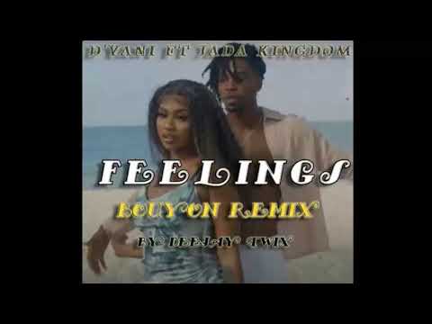 D'yani Ft Jada Kingdom - Feelings bouyon remix 2024 by dj twix