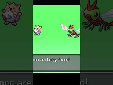 Togepi fuses with Yanma