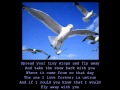 Anne Murray - Snowbird (with lyrics)