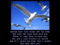Anne Murray - Snowbird (with lyrics) 