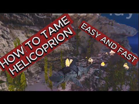 EASY Helicoprion Taming Guide 🦈 | Ark: Survival Ascended 🎯