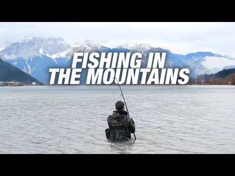 CARP FISHING ROAD TRIP - Alpine Adventure