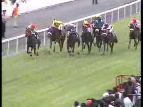 el maestro teetan quinn