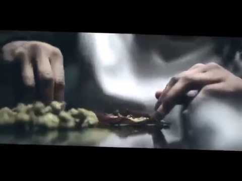 Gino Marley f/ SD & Fredo Santana - Lotta Birds (Official Video)