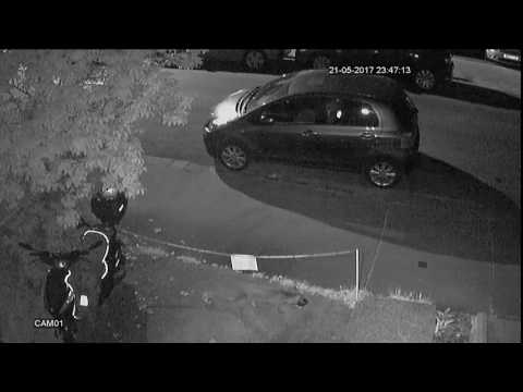 Fox thief 21 May 2017