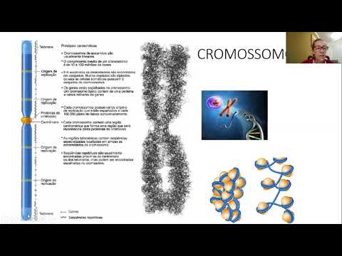 AULA 28 - Estrutura do cromossomo