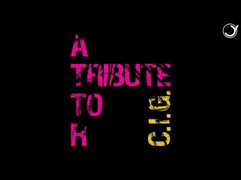 C. I. G. - A TRIBUTE TO R (Mini Jack Remix)