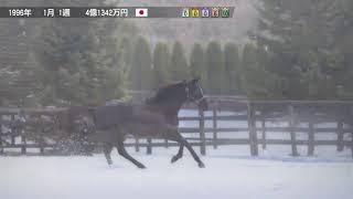 ［ウイニングポスト9］気ままにウイポ♪