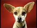 2000 S Animation Domination Fox Sunday Commercials Part 1 M M S Verizon Taco Bell ETC