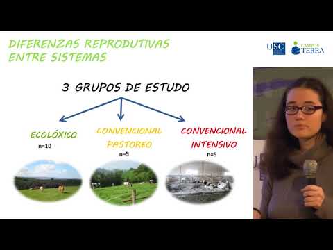 Vídeo: Razas de vacún de leite. Son eficientes a nivel reprodutivo en ecolóxico?