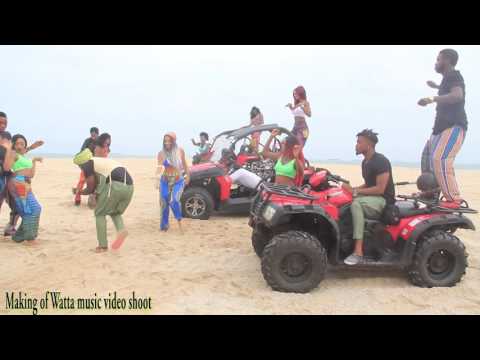 Ms Bodega - WATTA Feat. Timaya X Young D (BEHIND THE SCENES)