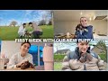 MEET OUR NEW PUPPY ZOE RAE