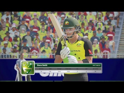 Gameplay de Ashes Cricket