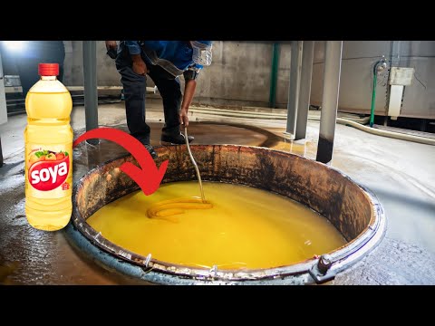 Como o ÓLEO DE COZINHA(Soja) é Feito - Processo Industrial