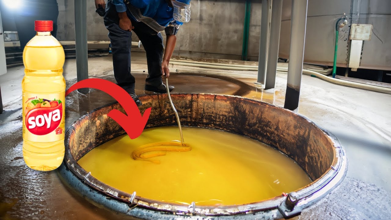 Como o ÓLEO DE COZINHA(Soja) é Feito - Processo Industrial
