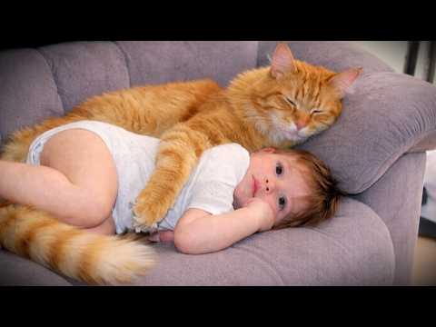 When Your Cats Treat the Baby Like Their Most Precious Treasure ❤️