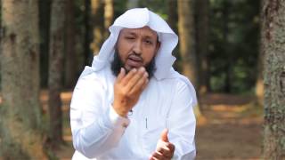 صورة بدائع القرآن ( سطوة القرآن ) -  للشيخ د. حسن بخاري