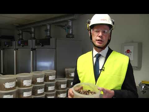 Combined heat and power plant in Jelgava city