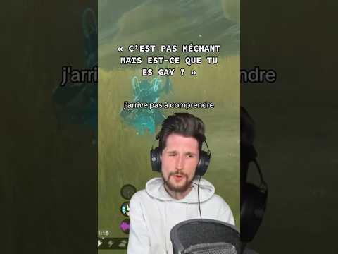 Est-ce que je suis GAY ? 🤔 #flavienalexzander #zelda #totk #tearsofthekinfim