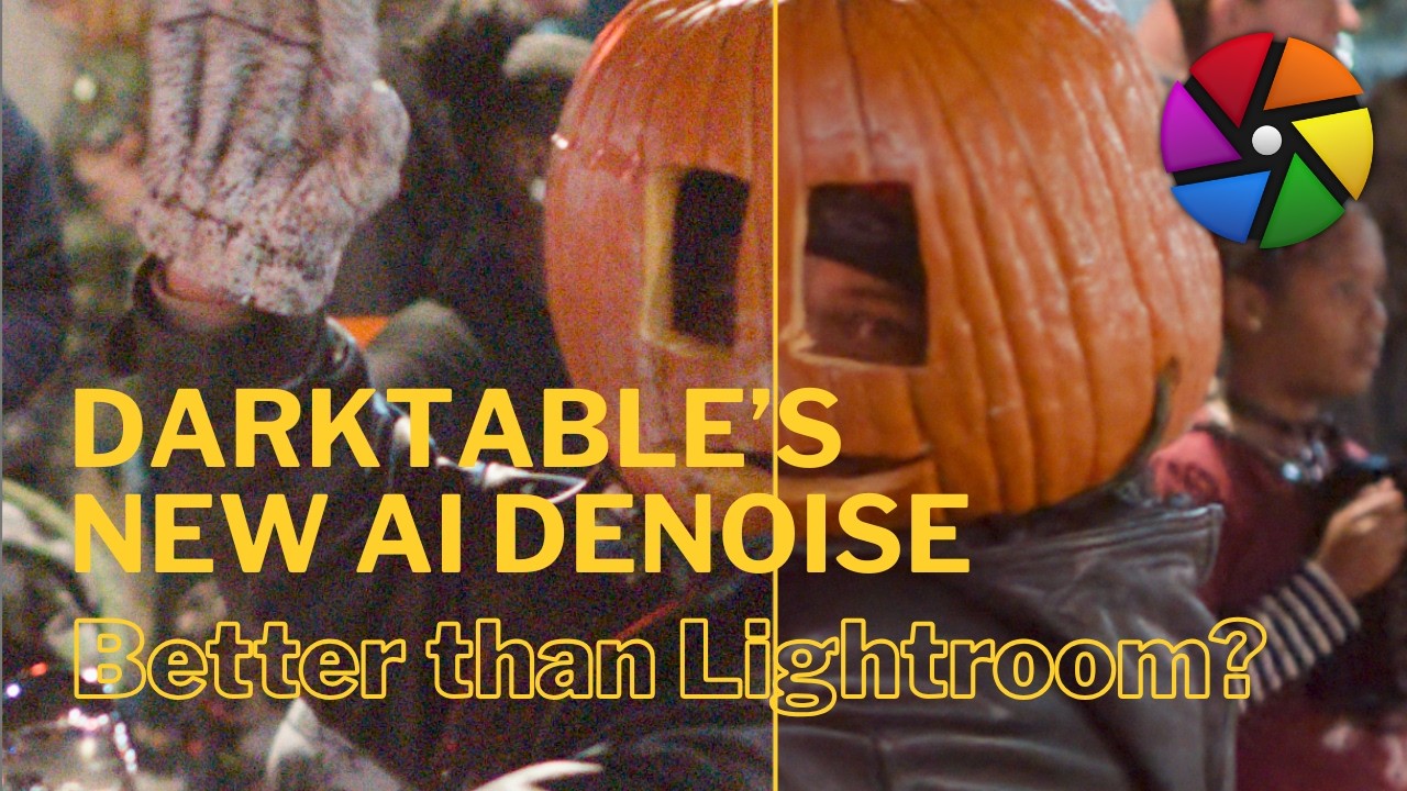 Darktable Neural Restore Denoise