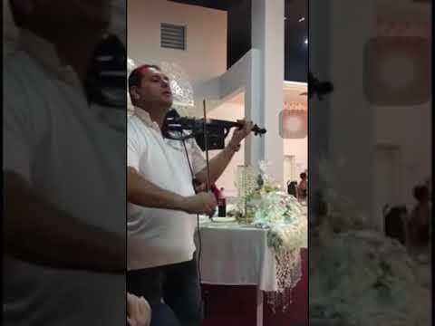 Dragan Gurbet kralj violine 2016