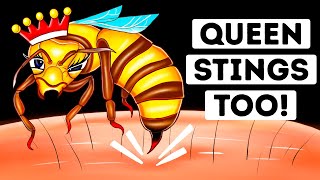 Are Queen Bee Stings More Dangerous? (We Found Out)