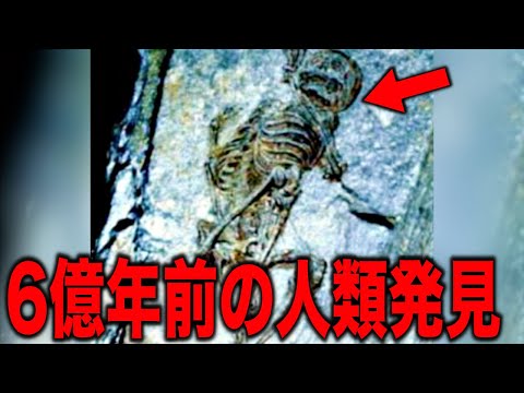 南極:研究者らが謎の痕跡を発見 - 誰もその起源を予想していなかった