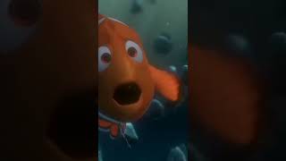 Download lagu pertemuan ayah dan anak _ finding Nemo #kartunanak mp3