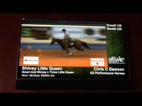 Shiney Little Queen 220 first round NRHA Futurity