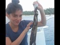 Arra Krisette San Agustin Sana