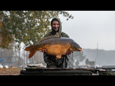 JESIENNE DUŻE KARPIE Z RYBNIKA CZ.2 🍁
