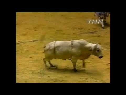 Pete Hessman vs Merlin - 00 PBR Ft. Worth (90 pts)