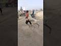 Bully Pakistani Play Guljarchanniwala Whatsappstatus