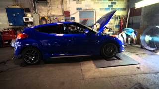 B. Webster's Veloster Turbo Dyno Run - 3 of 3